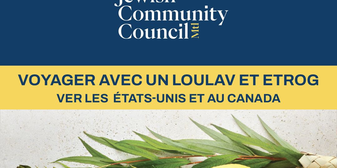JCC-lulav-FR
